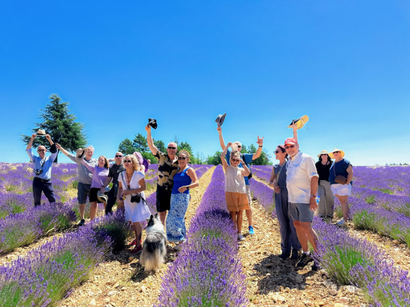 Lavender season tour guests walking through lavender fields of Provence
