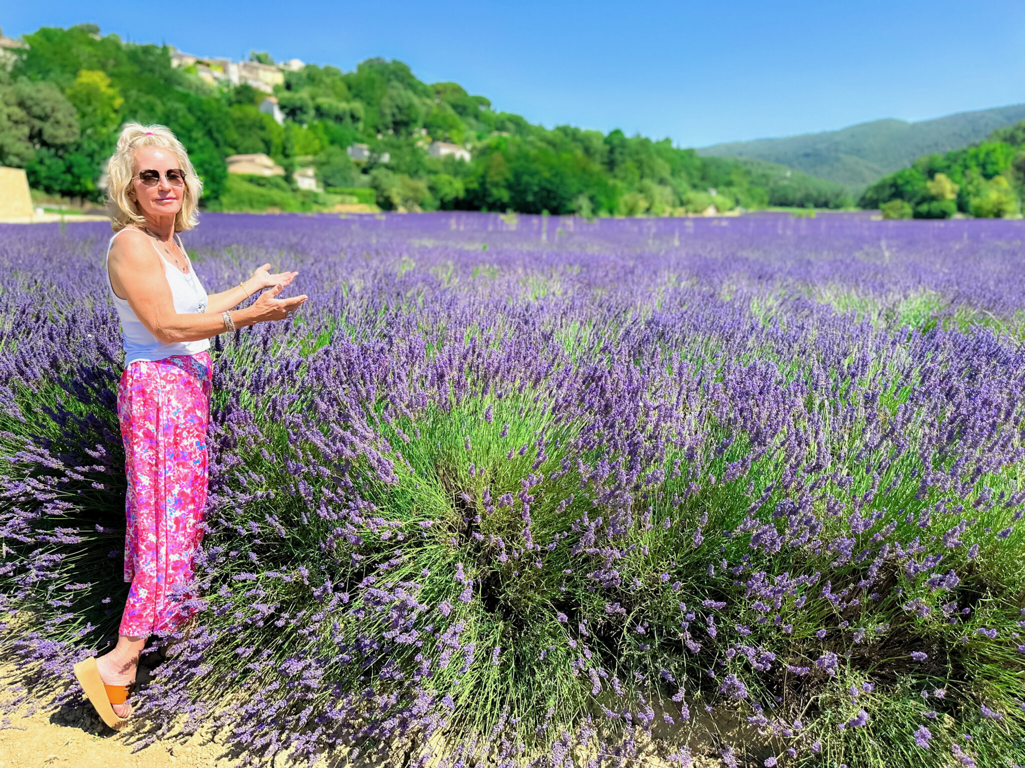 Exploring the Enchanting Lavender Fields of Provence: A Traveler's Guide - Conclusion